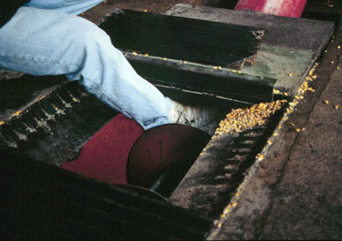 photo of a demonstration of leg getting caught in auger