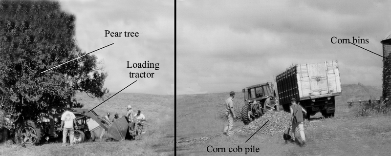 Two photos with text indicating locat of tree, tractor, corn cob pile and corn bins