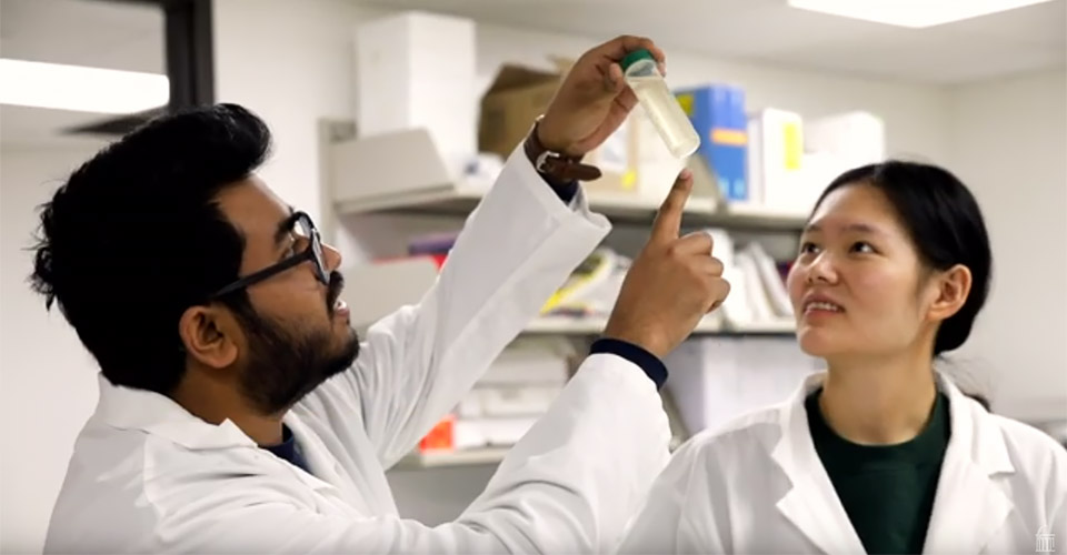 Students working in Peter Thorne's lab.