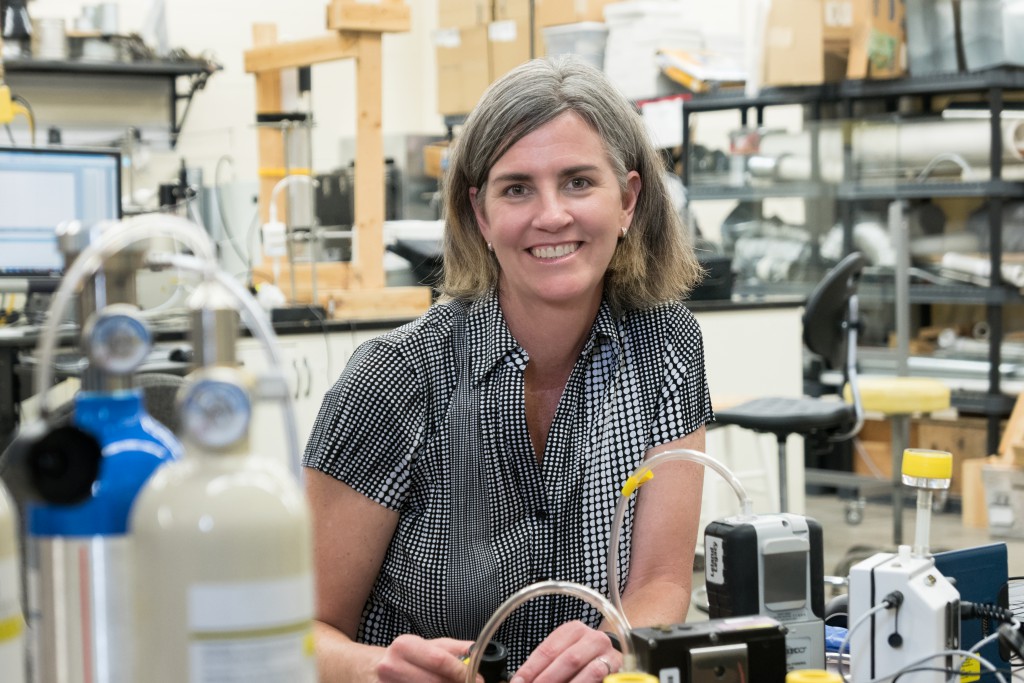 A portrait of Renee Anthony, professor of Occupational and Environmental Health at the University of Iowa College of Public Health.