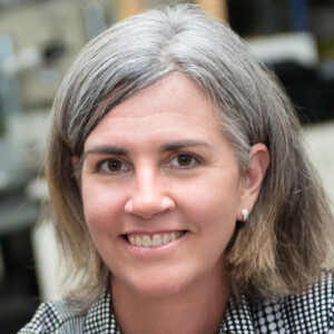 A portrait of Renee Anthony, professor of Occupational and Environmental Health at the University of Iowa College of Public Health.