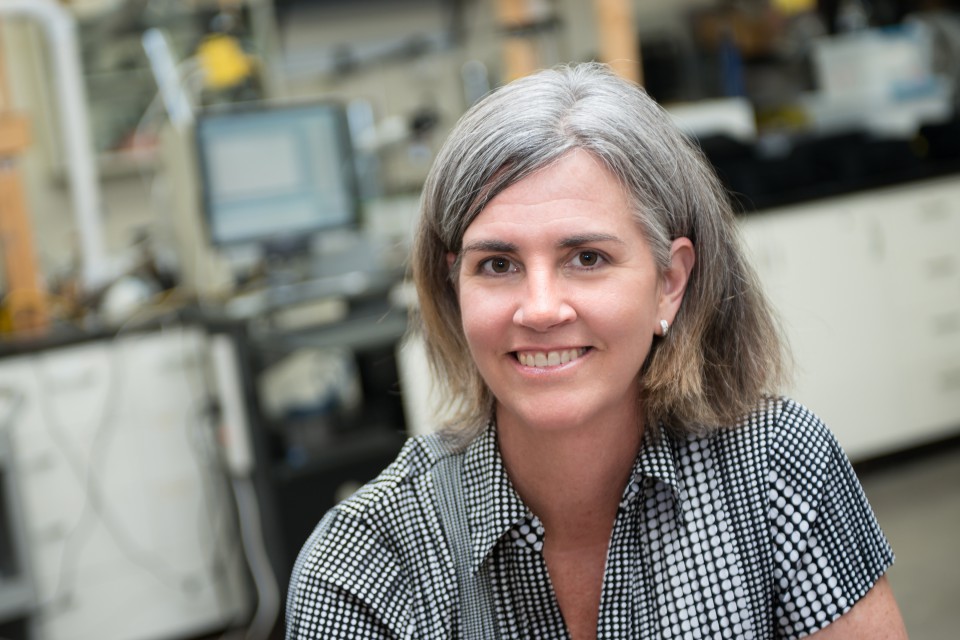 A portrait of Renee Anthony, professor of Occupational and Environmental Health at the University of Iowa College of Public Health.