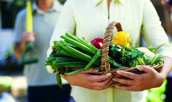 Woman holding basket of vegetables, close up, 