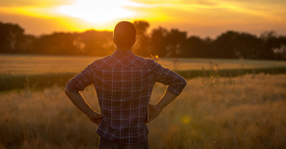 farmer standing in field at sunset