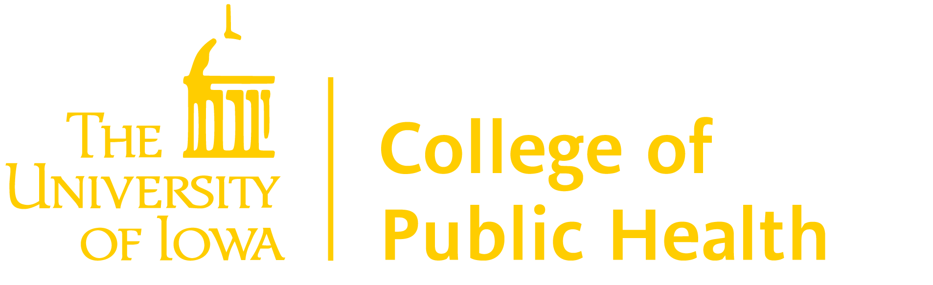 CPH Identity Standards University of Iowa College of Public Health