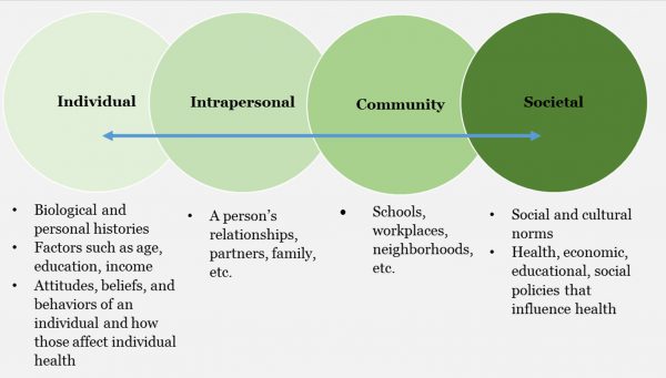 Systems Thinking: Individual, Intrapersonal, Community, Societal.