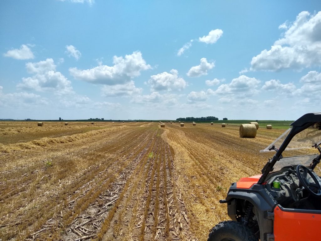 farm field photo by David Weaver