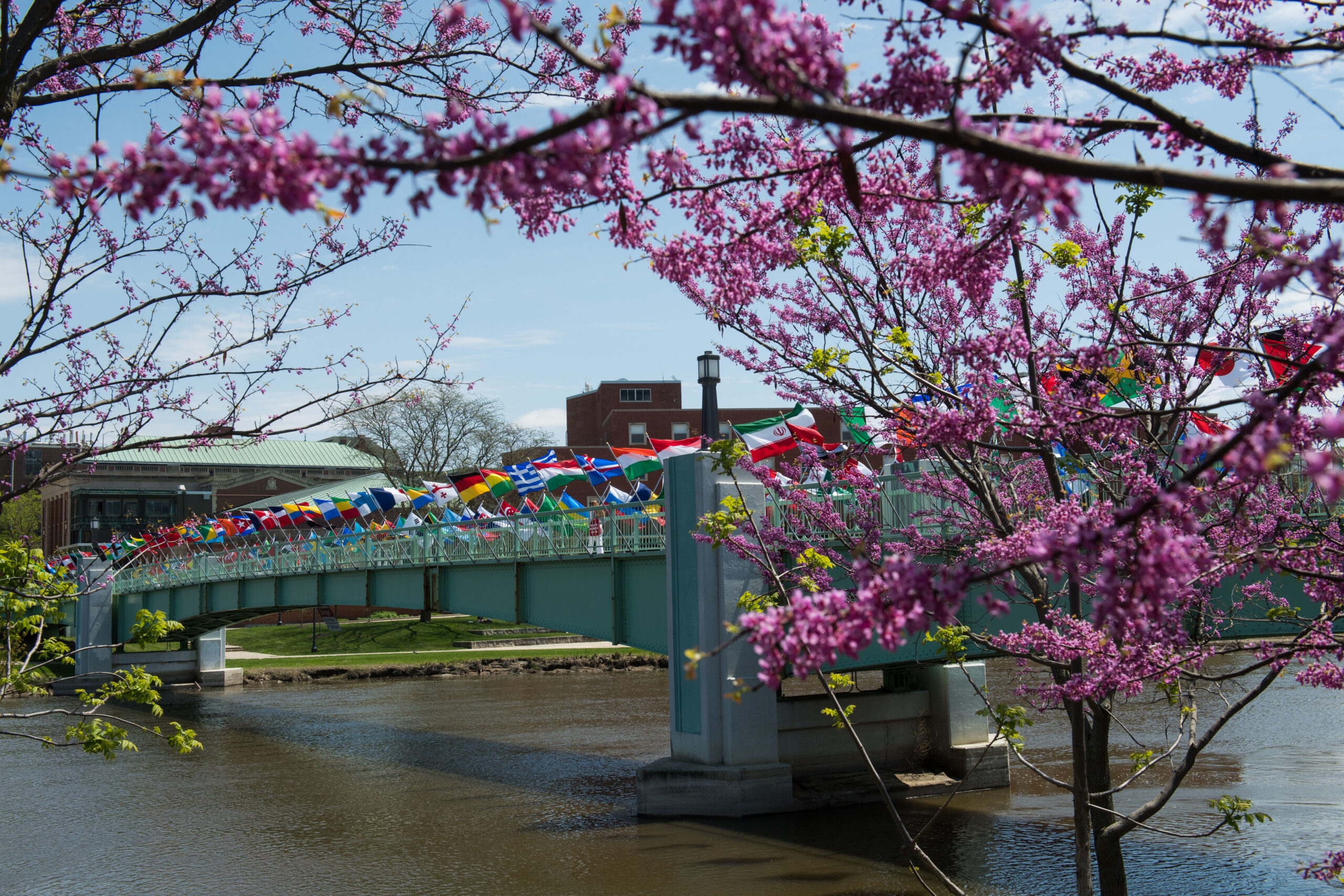 country flags flying on IMU footbridge