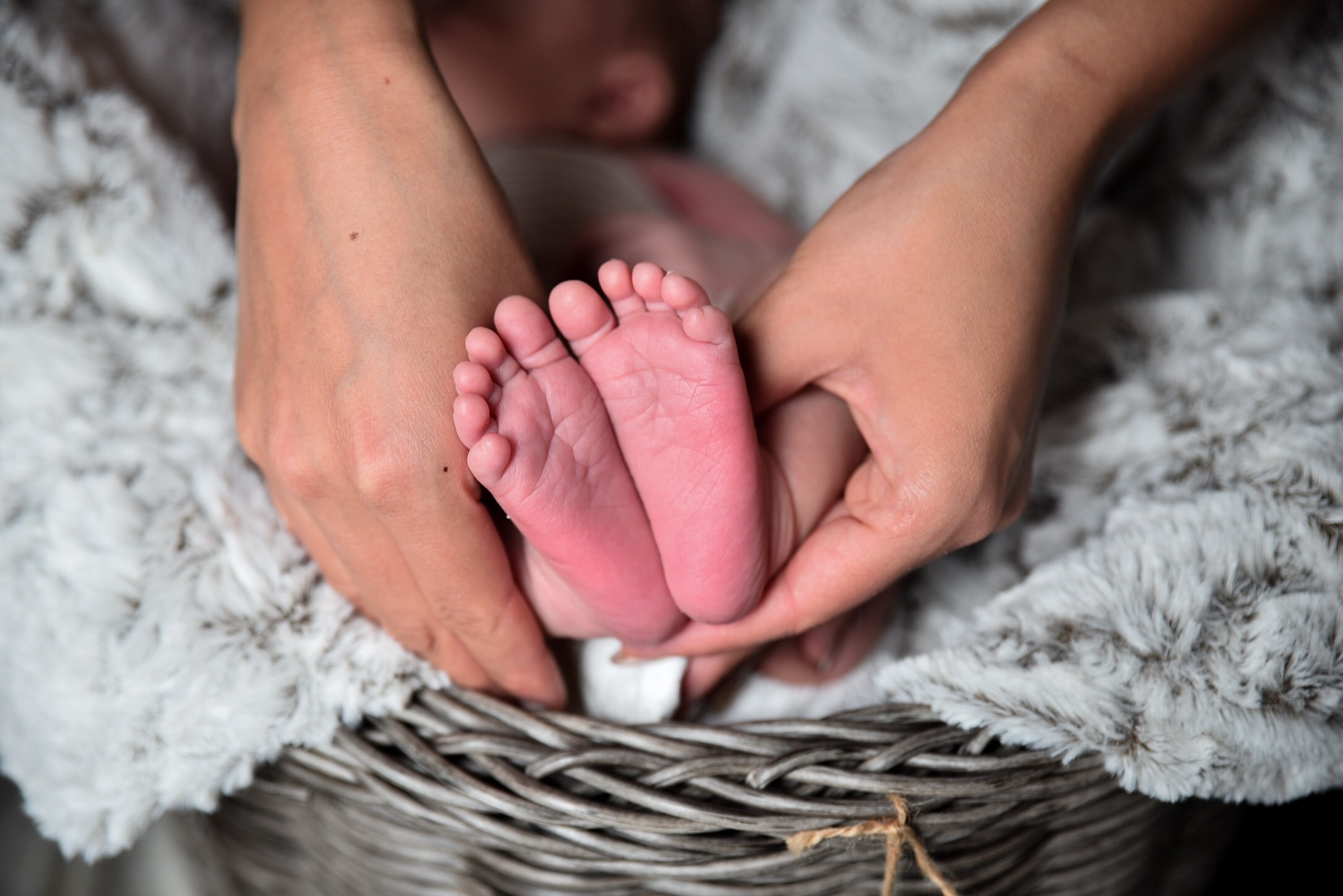 Adult hands holding baby