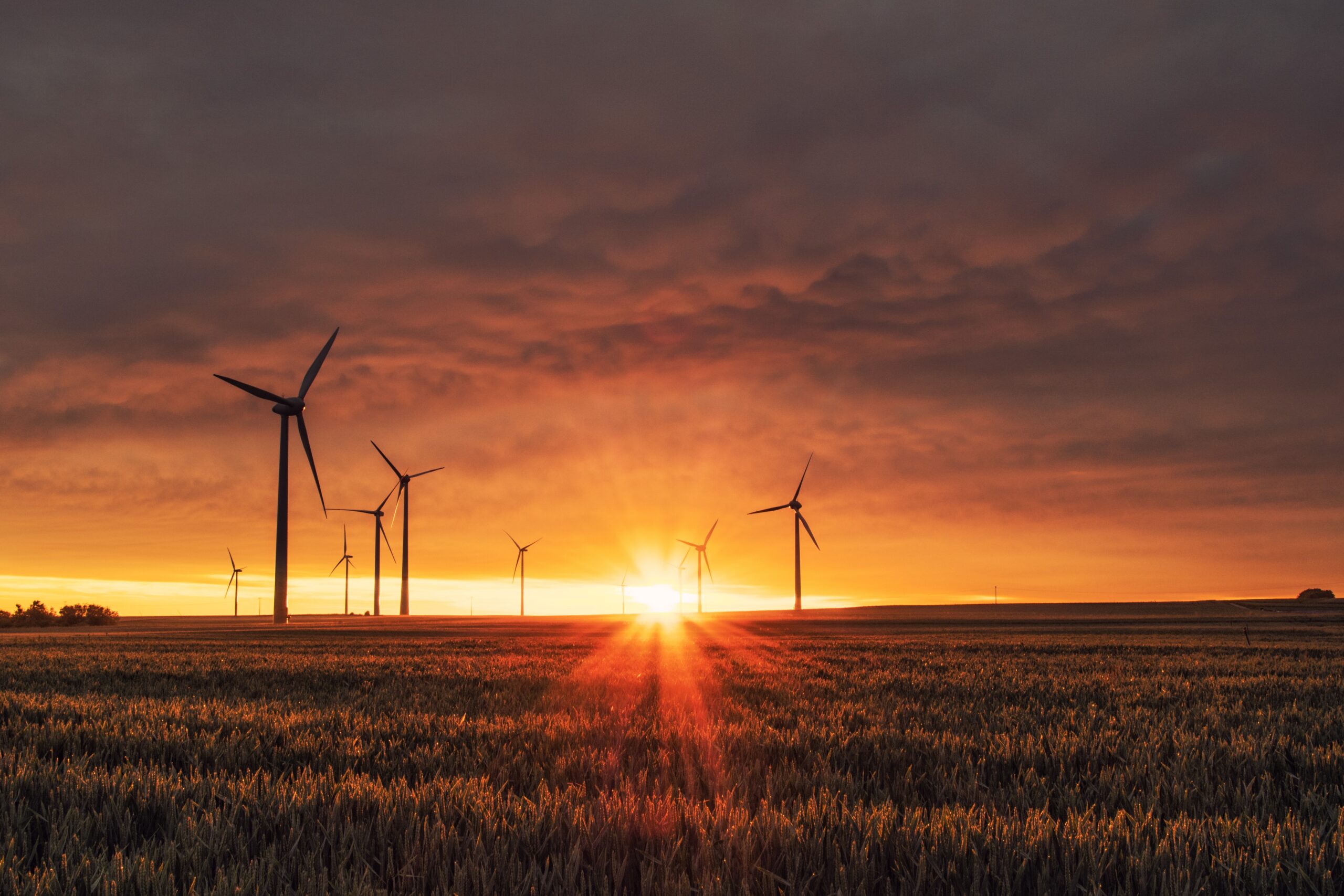 energy windmills in field at sunset