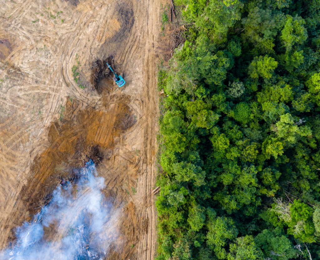 aerial view of machine cutting down trees and smoke from burning trees