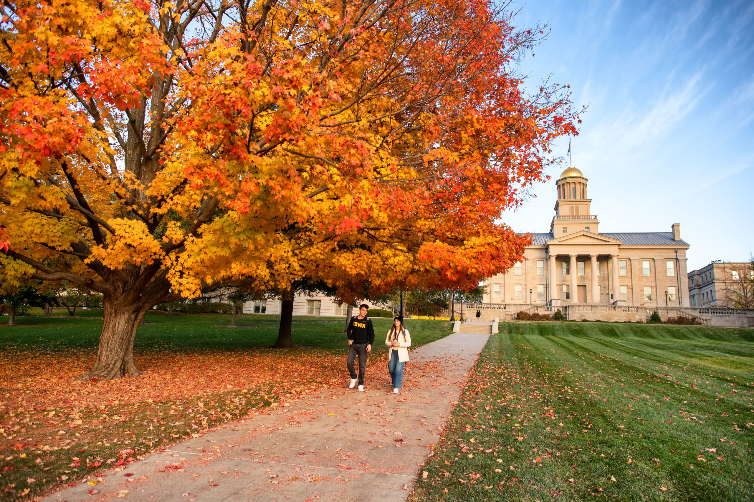 Students walking under a tree with autumn leaves in front of the Old Capitol.