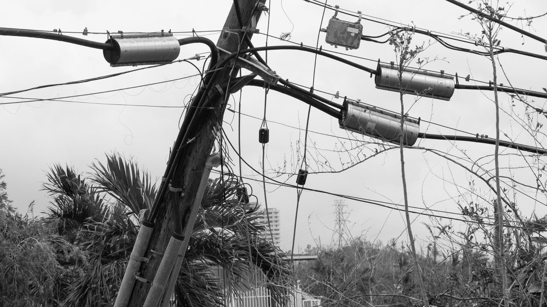 tangle of power lines on a utility pole