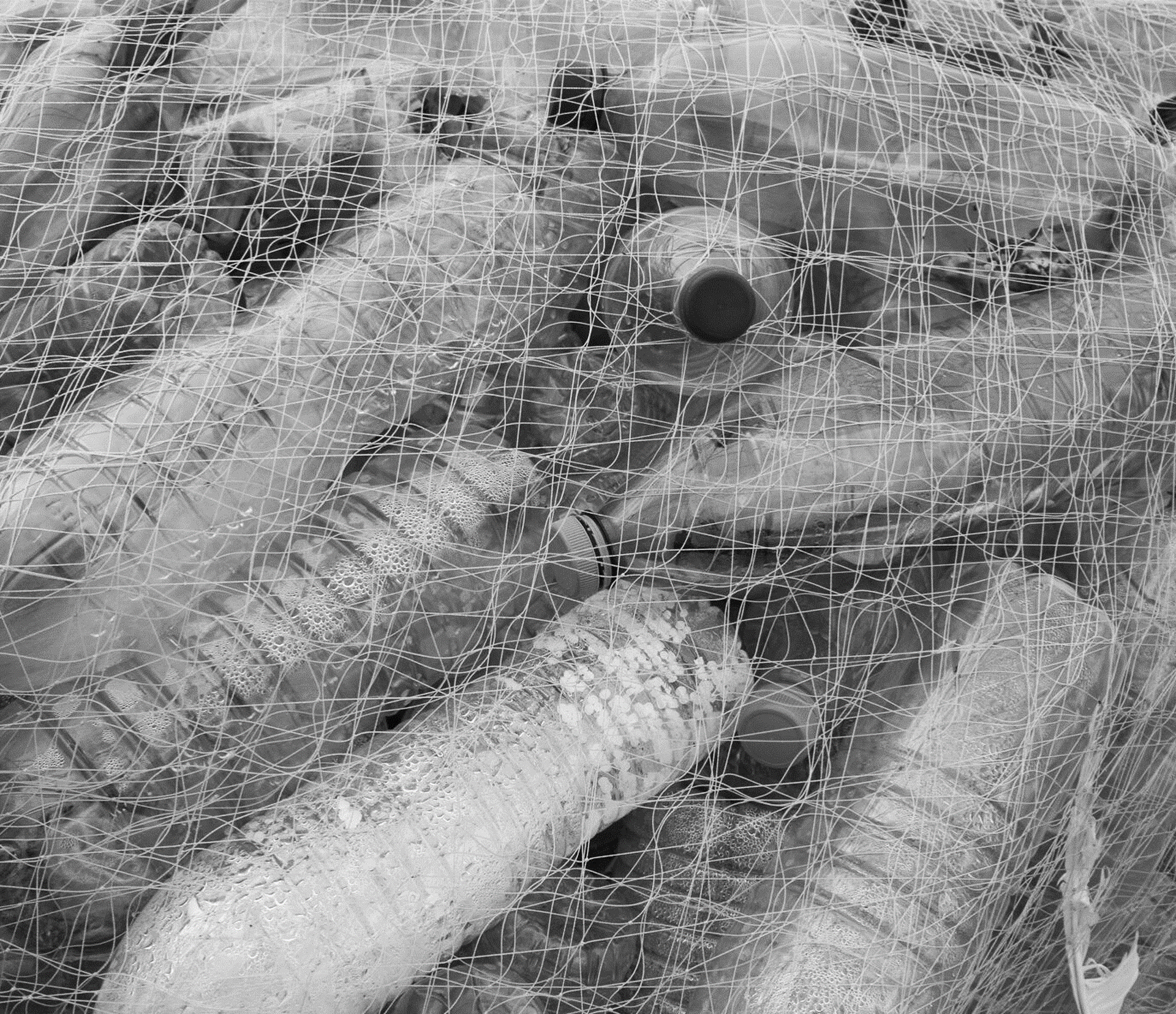 water bottles caught in a net