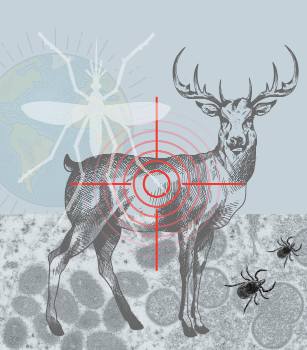 collage of a deer, ticks, mosquito, virus, and globe with a red target symbol overlaying all