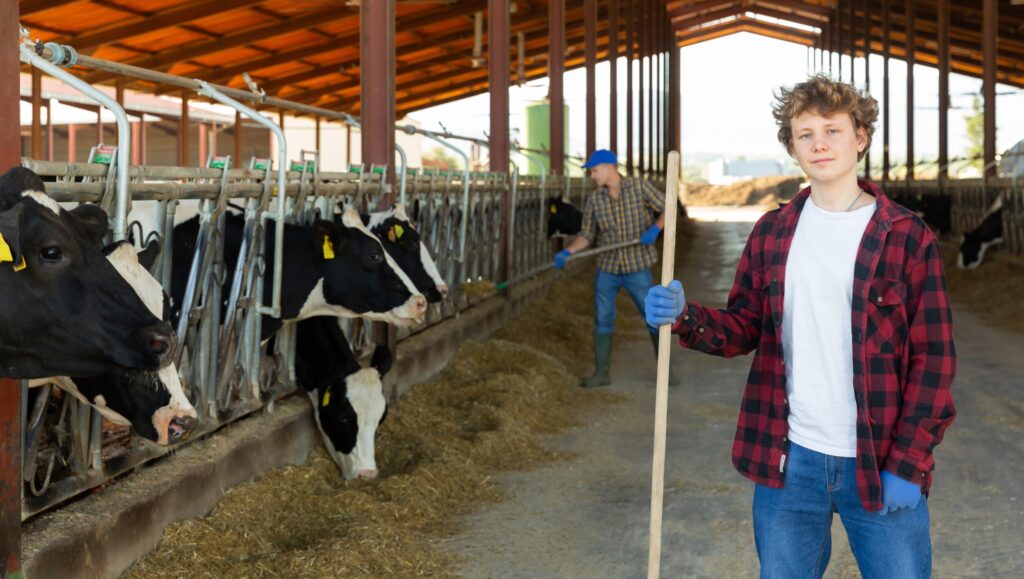a young man stands in a barn where cows are being fed