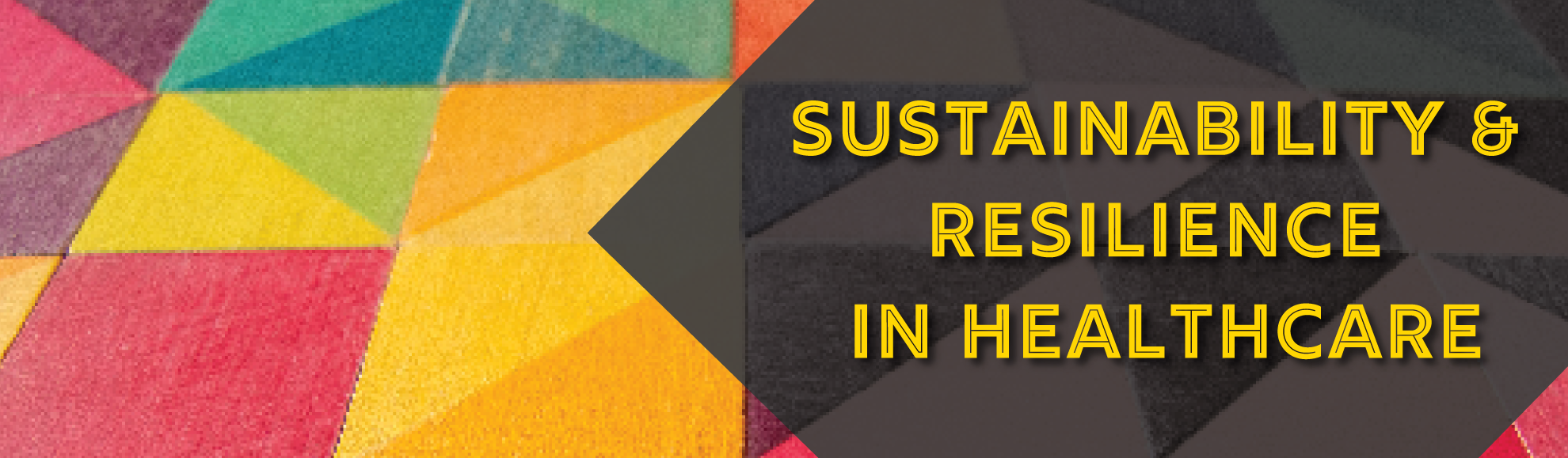 Sustainability & Resilience in Healthcare