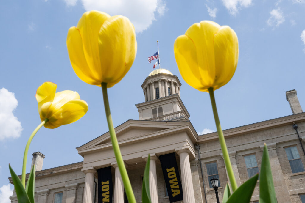 Flowers blooming in front of the Old Capitol on the University of Iowa Pentacrest.