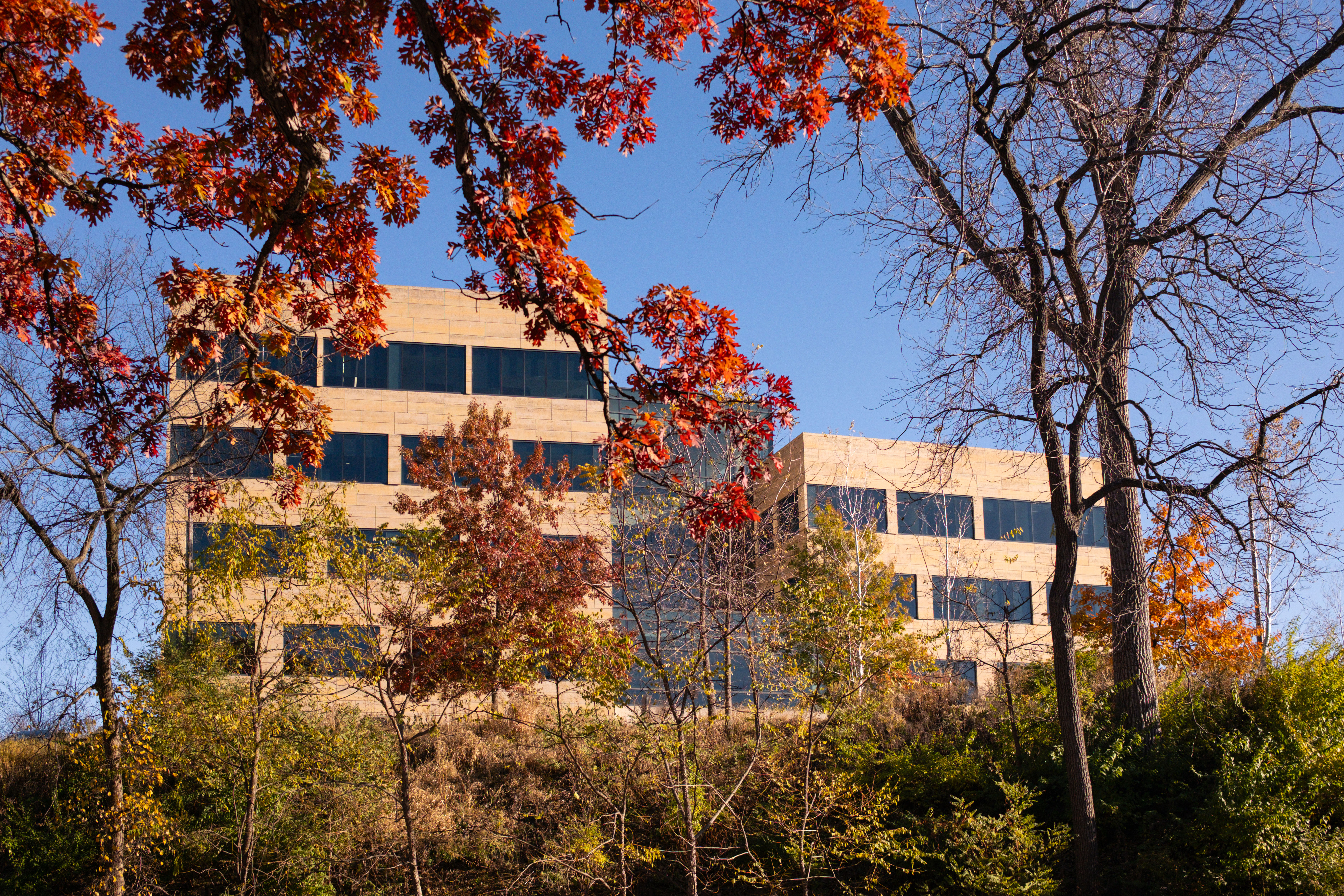The College of Public Health Building as seen from Lot 42 with fall leaves on the trees.