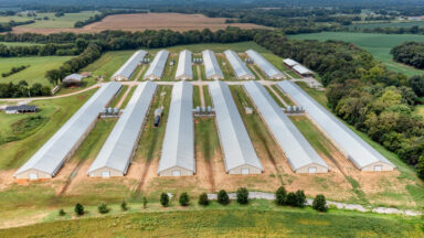 Aerial view of poultry houses and farm