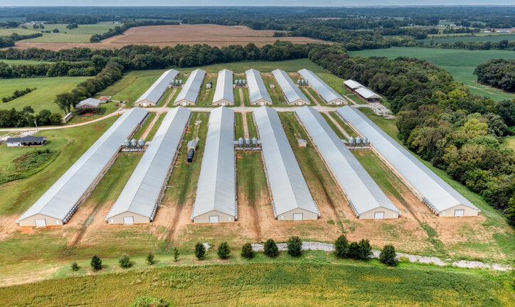 Aerial view of poultry houses and farm